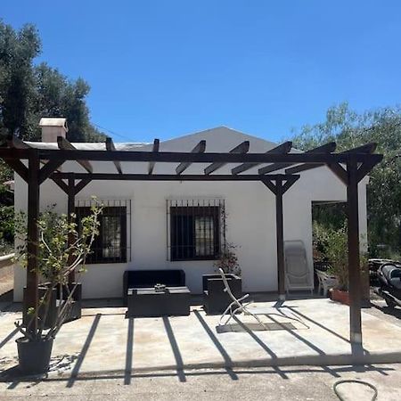 Farmhouse Surrounded By Centenary Olive Trees Olías Exteriör bild